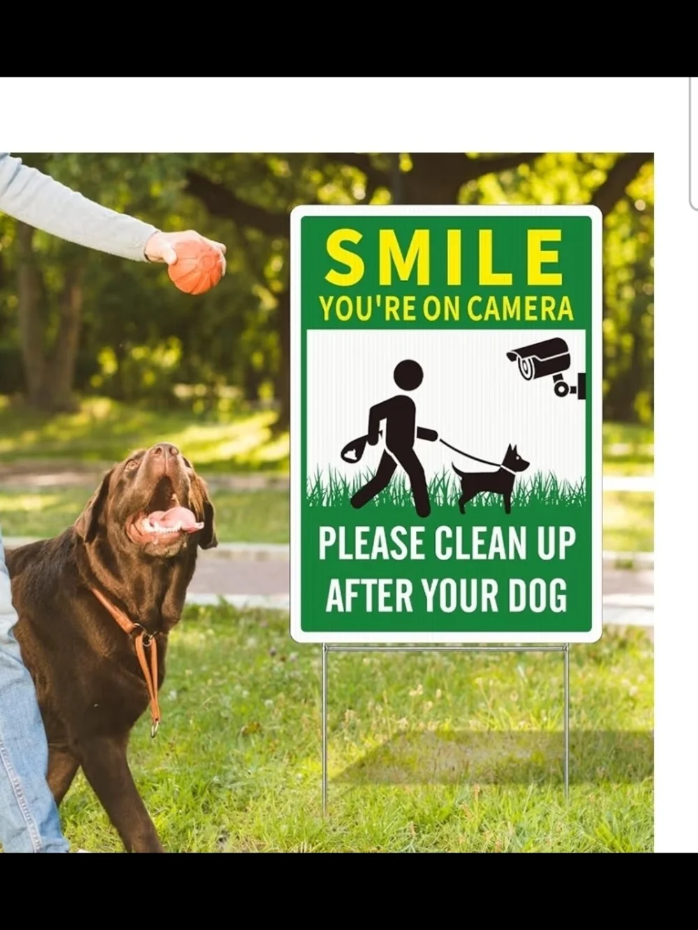 2 Pack Clean UP After Your Dog Signs, Funny Smile You're On Camera Yard Sign